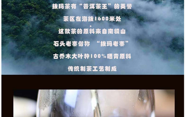 HelloYoung Yunnan Tea Nannuo Mountain Pema Ancient Tree First Spring Pu'er Raw Tea 100g