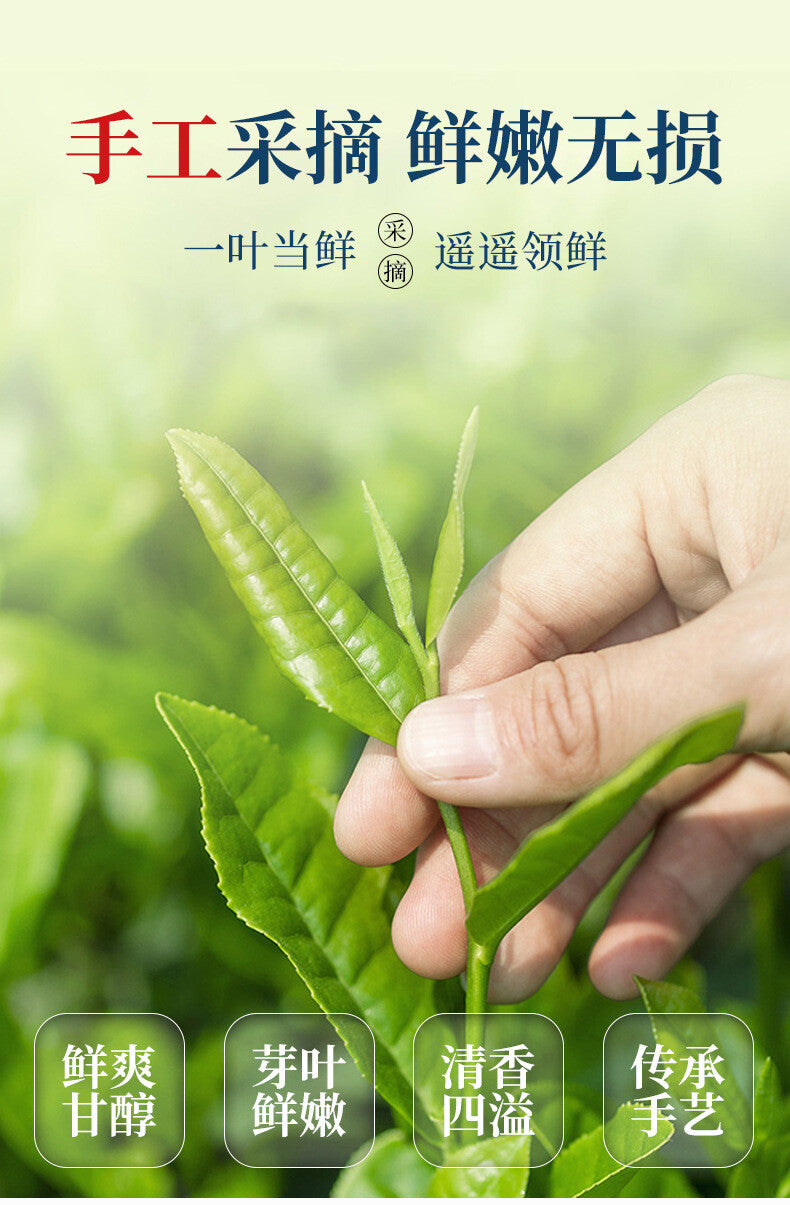 Grade Two Phoenix Style Pre-Qingming Gift Box Green Tea 125g New Anji White Tea