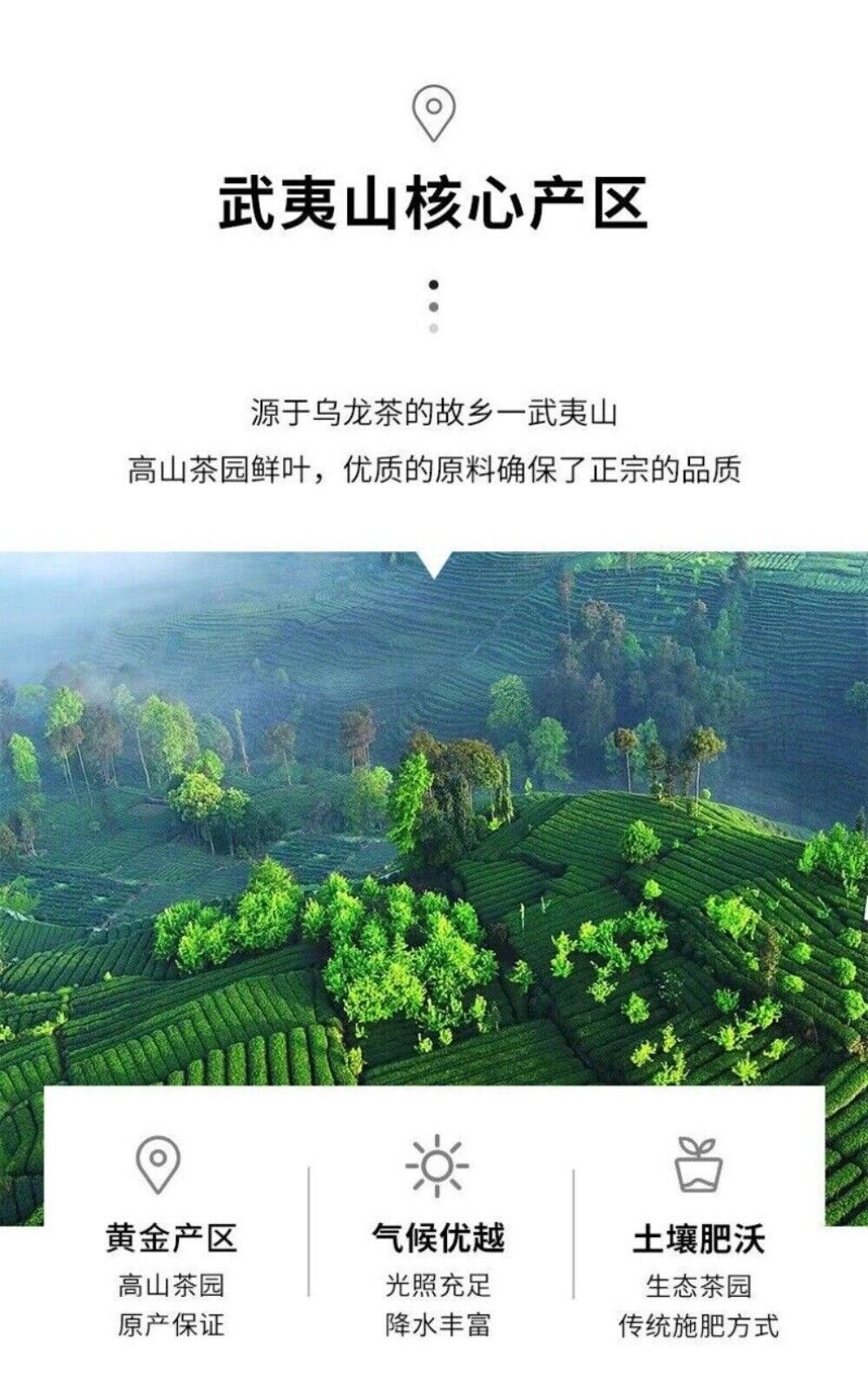 Authentic Wuyi Oolong Tea Loose Leaf Daily Use High Mountain Yancha 50g