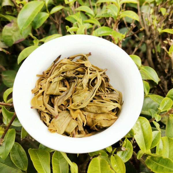 HelloYoung 357g Cha Pu'er Tea Cake Icelandic Ancient Tree High Quality Pu-erh Tea Bingdao