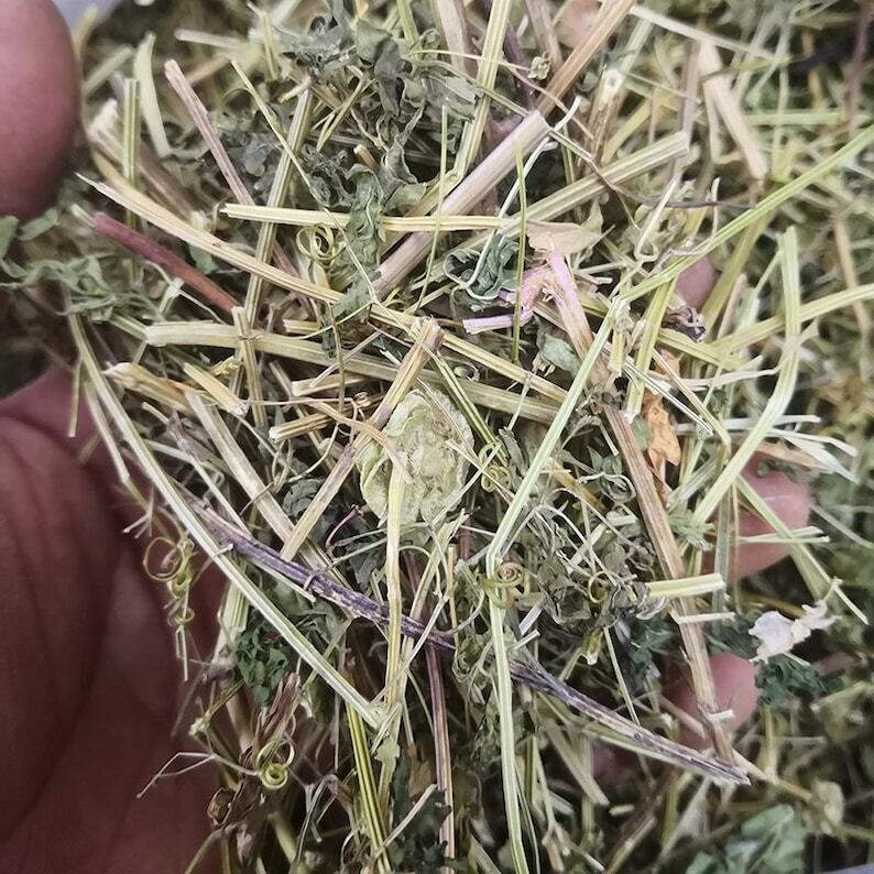 Organic Dried Herba Cardiospermum halicacabum, Balloon Vine, Dao Di Ling, 500g Secondary image