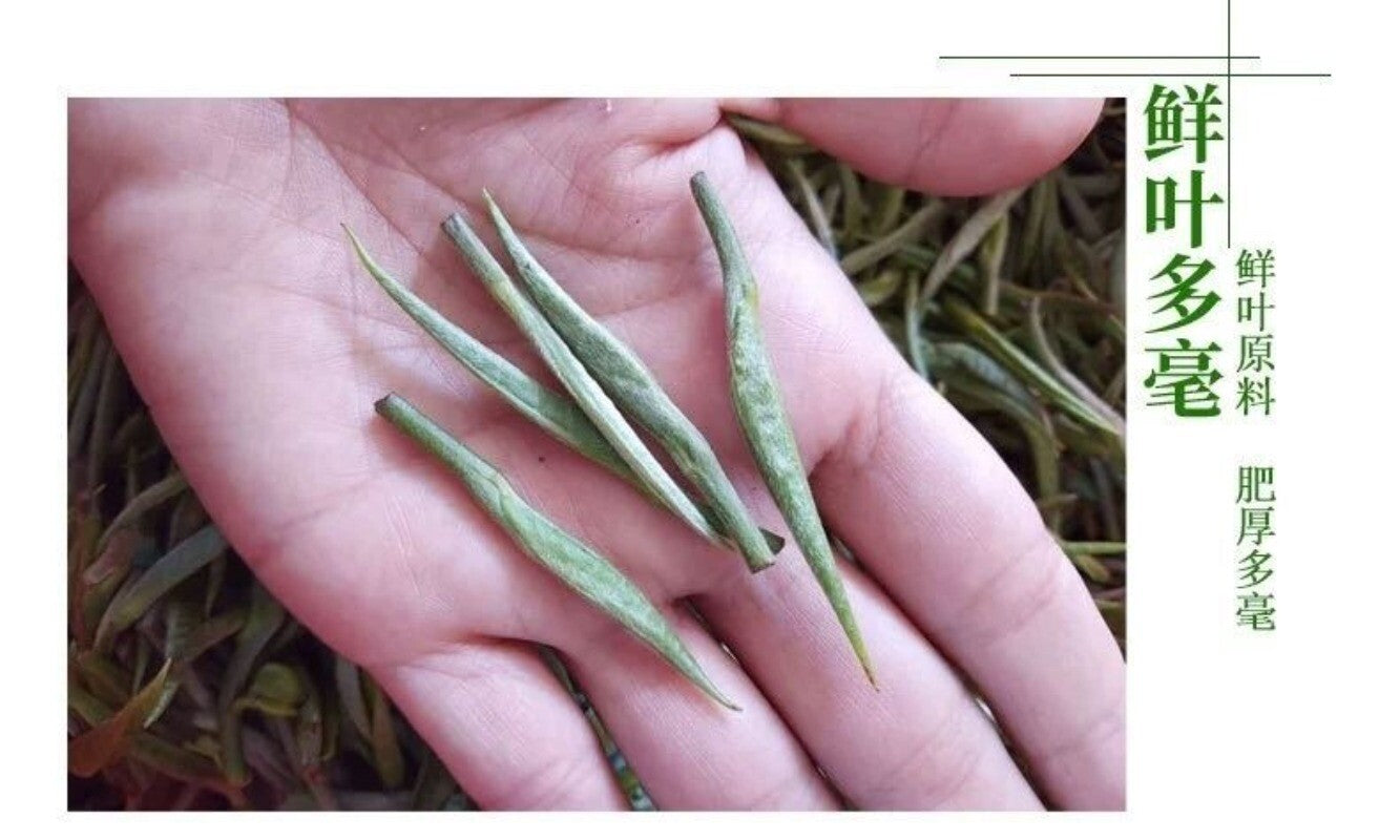 Pre-rainy New Tea Junshan Silver Needle Yellow Tea Tender Buds 250g Loose Tea