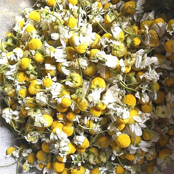 HelloYoung Bulk chamomile chamomile dried flowers chamomile petals flower foam 17.6oz