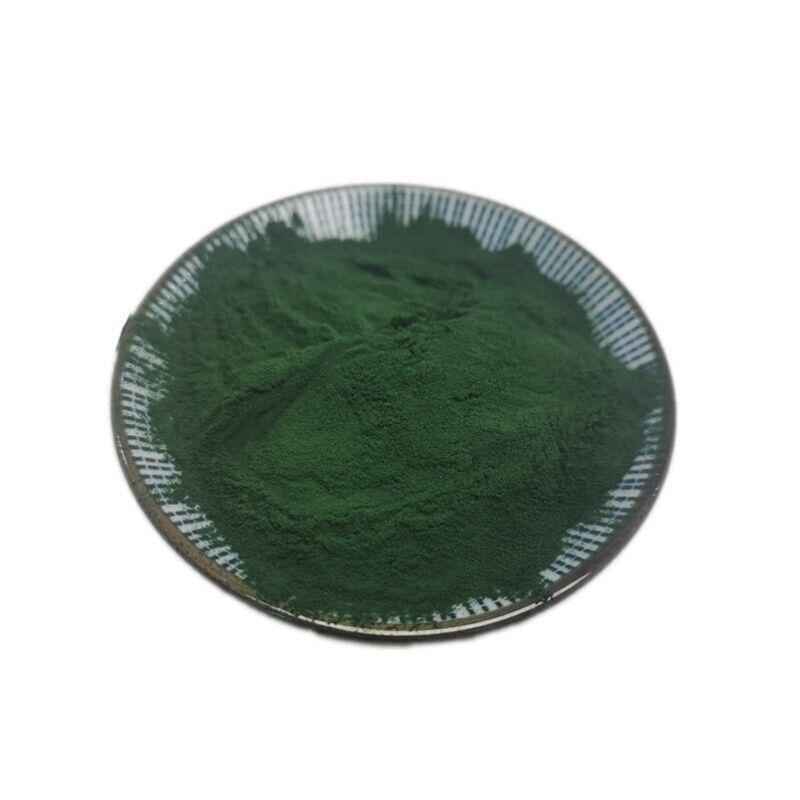 500g Organic Ocean Blue Spirulina Extract Powder – Natural Superfood Supplement