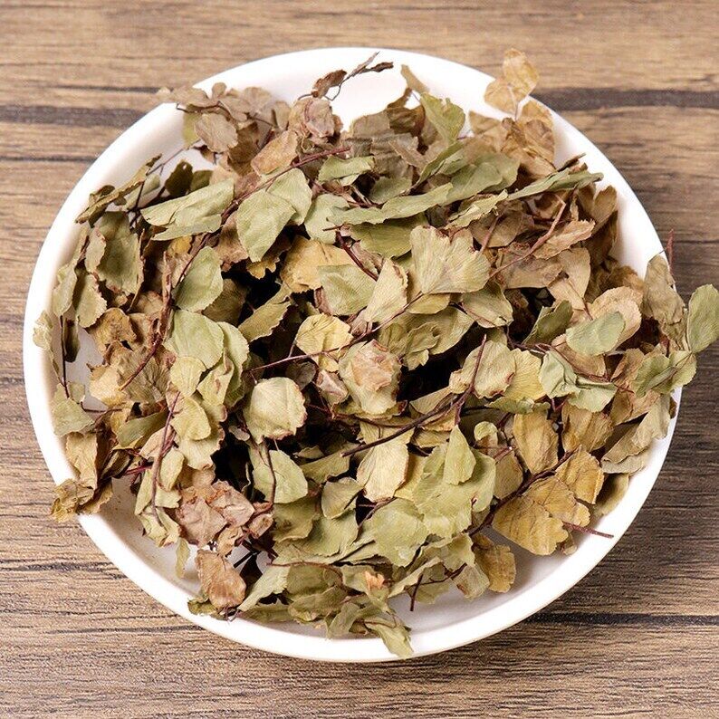 Dried Herbal Asplenii Yunnanensis Yunnan Spleenwort Herb Makes A Healthy Tea
