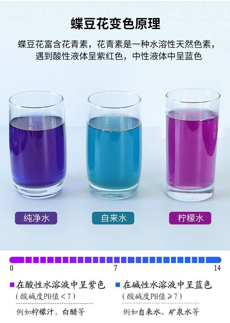 Dried Flower Blue Butterfly Tea Natural Food Pigment Butterfly Bean Flower