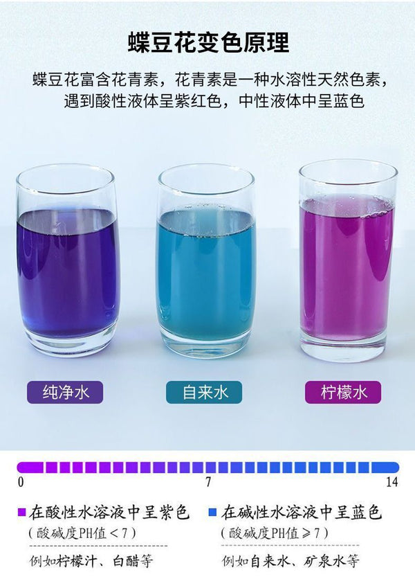 Dried Flower Blue Butterfly Tea Natural Food Pigment Butterfly Bean Flower