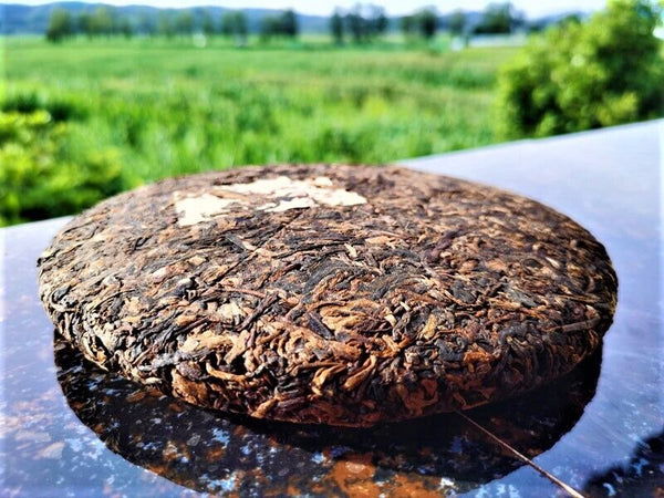 HelloYoung Yunnan Seven Seeds Cake Tea Yiwu High Pole Ancient Ripe Old Pu'er Tea Cake12.6oz