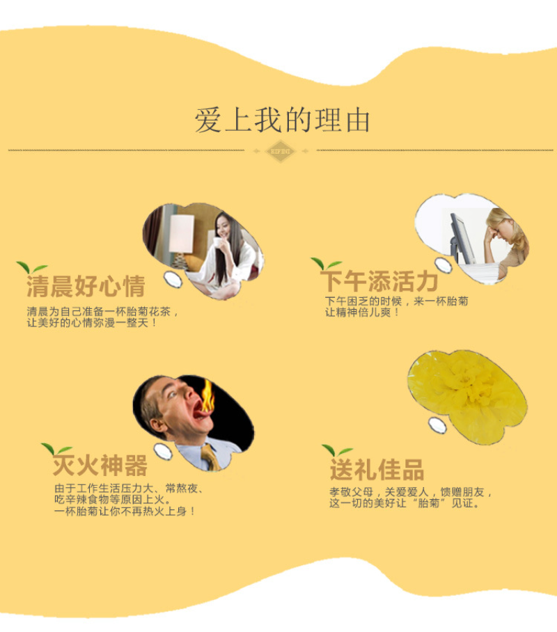 HelloYoung Golden silk chrysanthemum a cup of tribute chrysanthemum Wuyuan flower tea 30