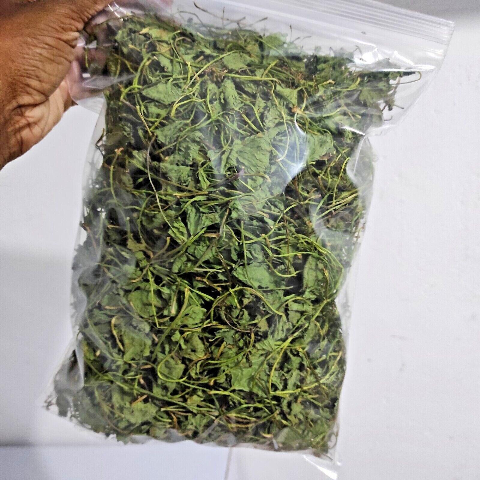 Organic Pennywort Spadeleaf Gotukola Brain Booster Dried Centella asiatica leaf, Secondary image