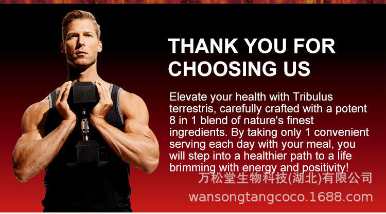 Male Energy Gummies High Absorption Maca & Vegan Ginseng - Enhance Male Stamina