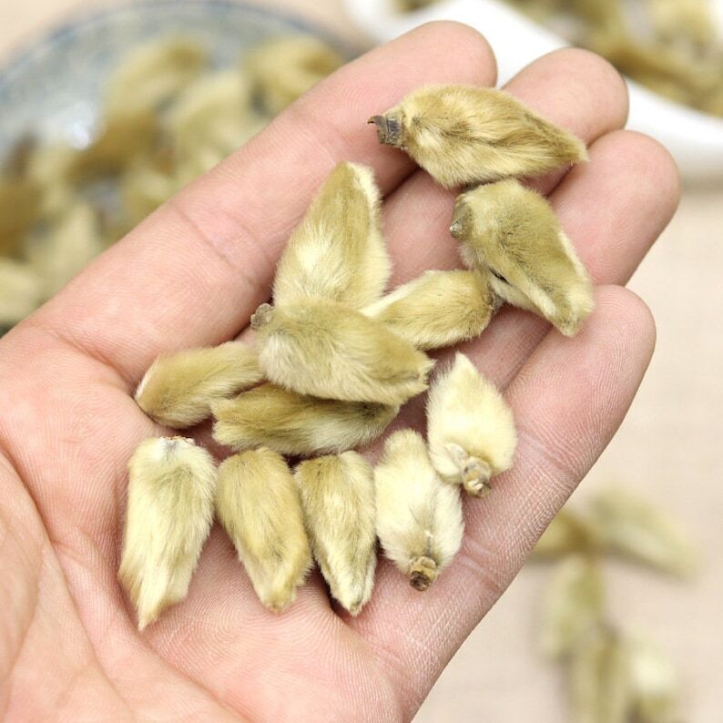 Xin Yi / Magnolia Flower Bud Xin Yi Hua 500g Bud of magnolia Denudata Desr. Secondary image