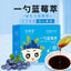 Autumn Pear & Blueberry Syrup | Single Spoon | Hawthorn Extract