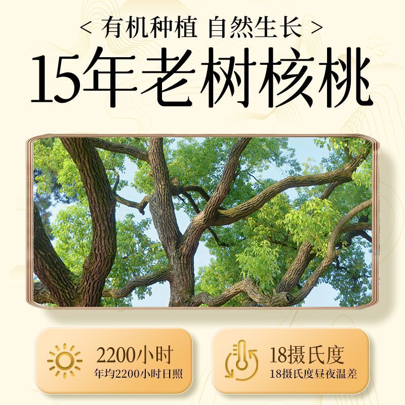 Raw Organic Yunnan Walnuts – Shelled Nuts for Baking, Snacking & Moms