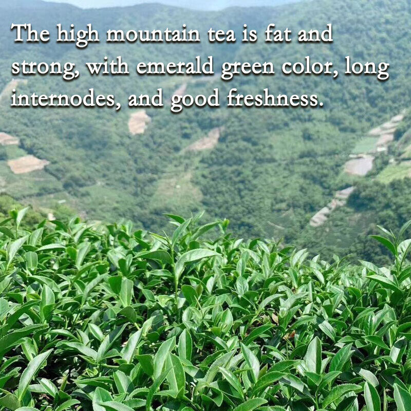Taiwan Oolong Tea Alishan Milk Oolong Tea Jinxuan Granules Natural Oolong Tea