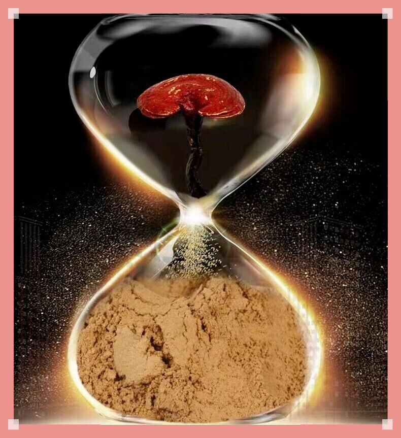 Reishi Mushroom Powder - Premium Quality Organic - QUICK POST Secondary image