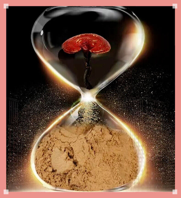 Reishi Mushroom Powder - Premium Quality Organic - QUICK POST