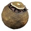 Little Green Mandarine Crushed Stone Tea Pu'er Tee Mandarine Peel Puerh Tee 500g