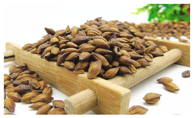 HelloYoung 500g Hot sale Wang He Tang barley tea quality roasted taste mellow
