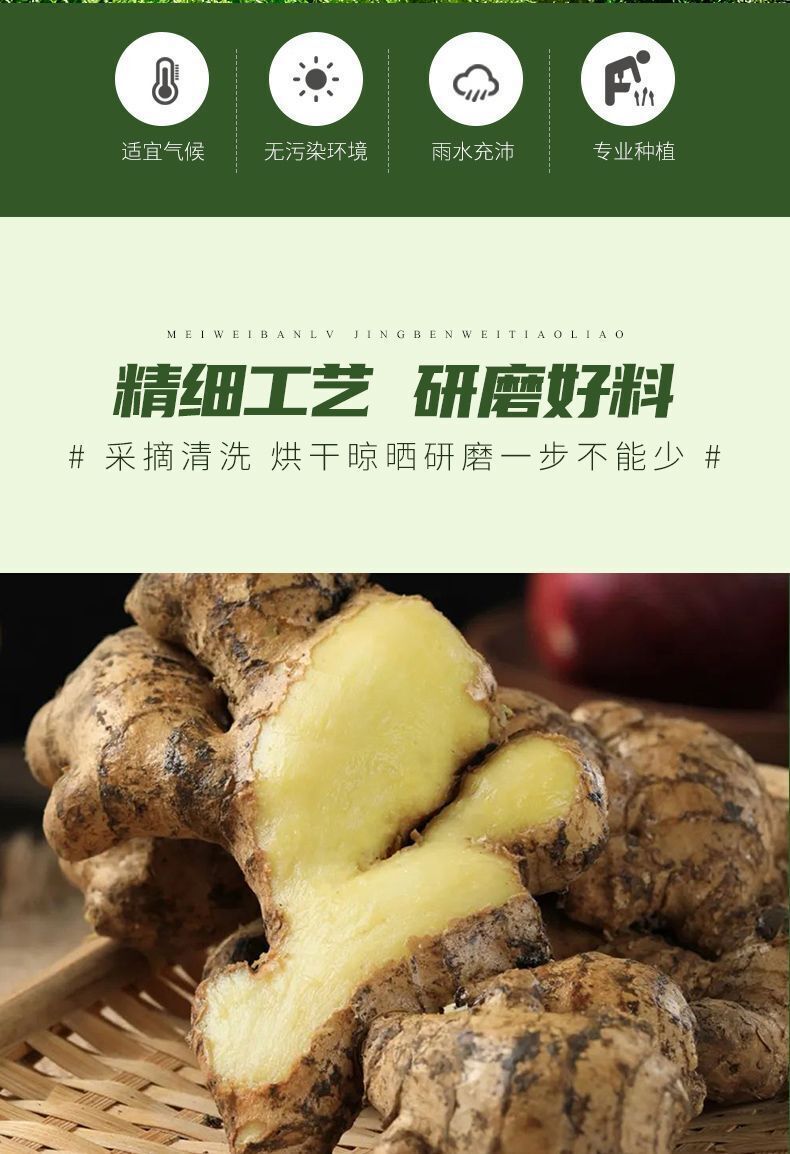 Poudre d'oignon éparpillée poudre d'épices de remplissage pour marinage 500g