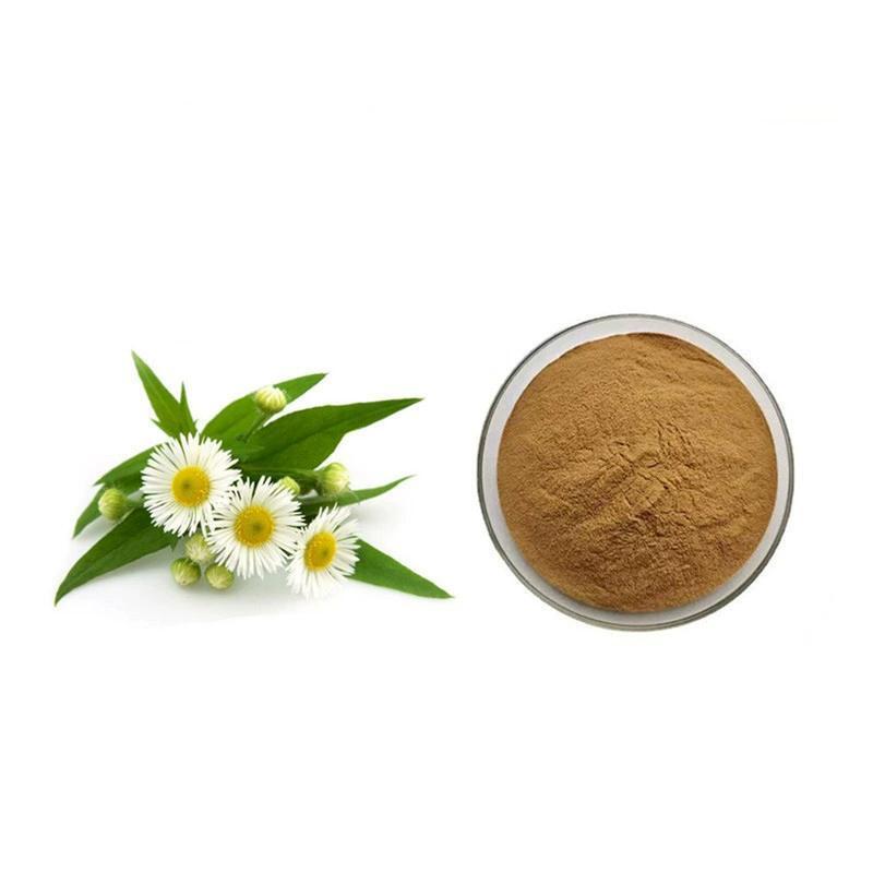 500g Organic Chamomile Extract Powder (20:1) Main image