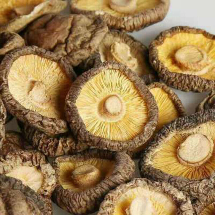 HelloYoung Chinese Dried Mushroom 4-5cm Glossy Mushroom Fujina Winter Dried Shiitake 250g