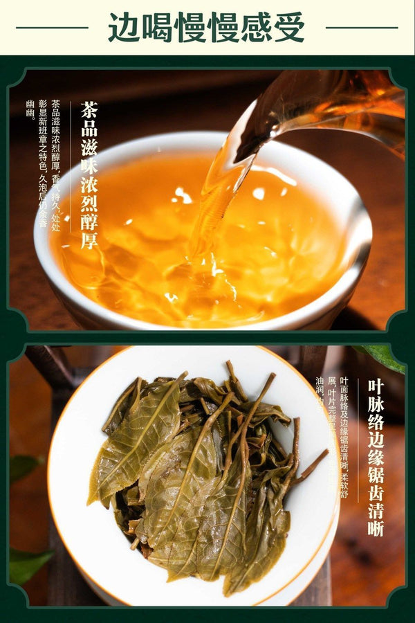 Chen Xiang Ban Zhang Raw Tea Long Zhu Puerh Tea Palace Puerh