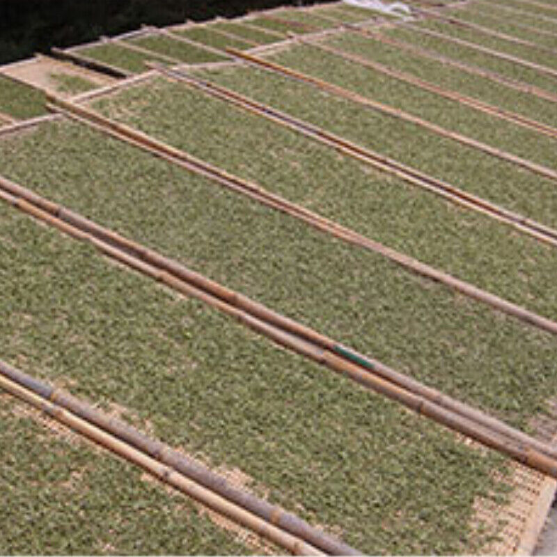 HelloYoung White Tea Organic HighMountain Shoumei Spring Tea 500g Premium Fuding Loose Leaf