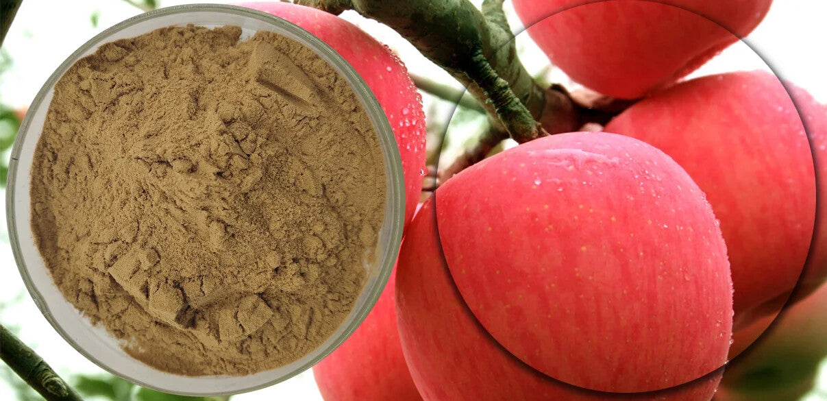 250g Apple Peel Extract Organic Apple Polyphenol Apple Peel Extract Powder