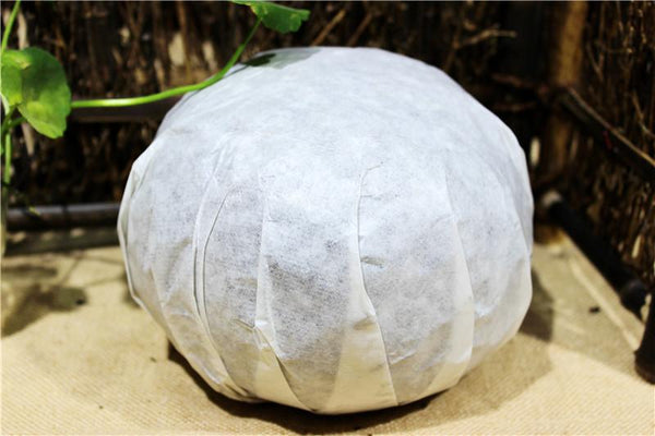 1000g Yunnan Pu-erh Tea Gold Melon Tribute Tea cha Puerh Tuo Tea Puer Green Tea