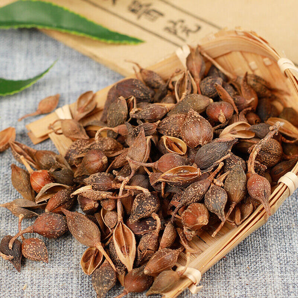 HelloYoung 250g /500g High Quality Featured Forsythia Lianqiao Health Top Tea 连翘