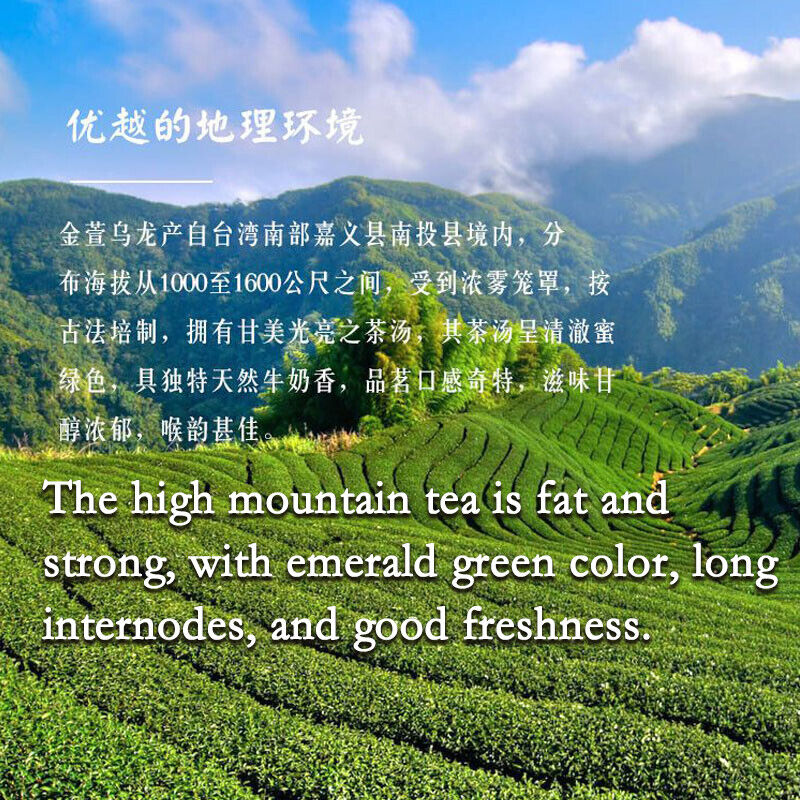 Taiwan  Jinxuan Milk Oolong Tea Milk Oolong FullLeaf Loose Oolong Tea 250g