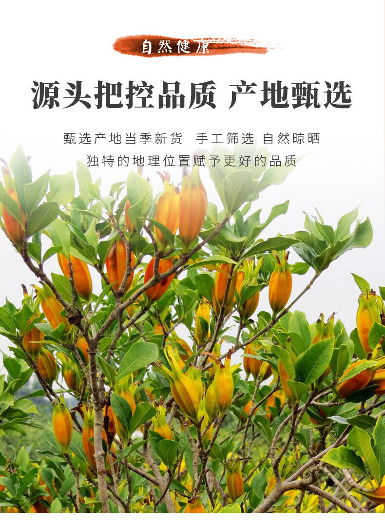 Gardenia Fruit Tea 100g Canned Large Dried Gardenia Herbal Health Drink