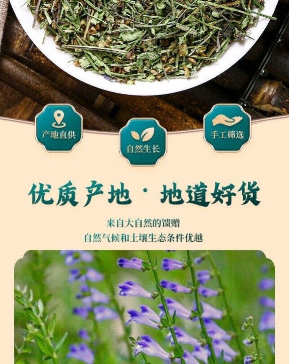 Wild Scutellaria Barbata Herb 100g Premium Sun Dried Fresh Harvested Natural