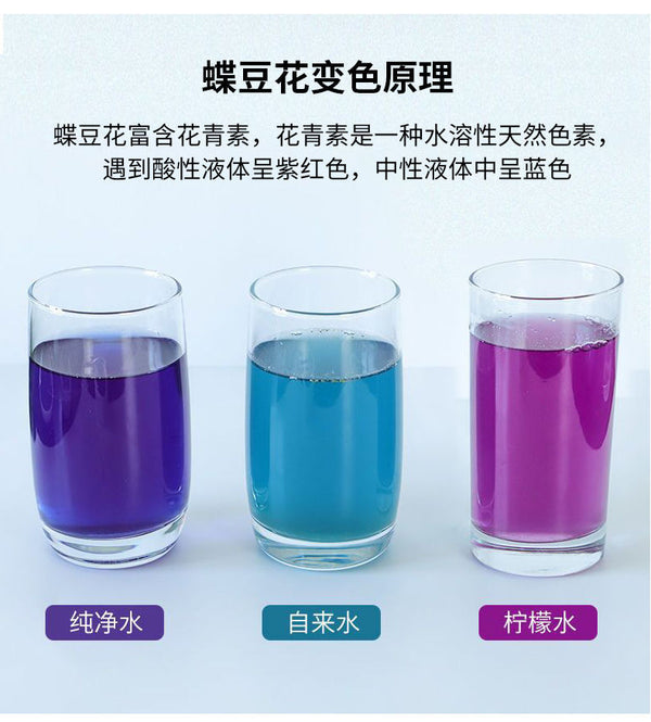 Natural Color Fruit Vegetable Powder Butterfly Bean Pollen Blue Butterfly Powder