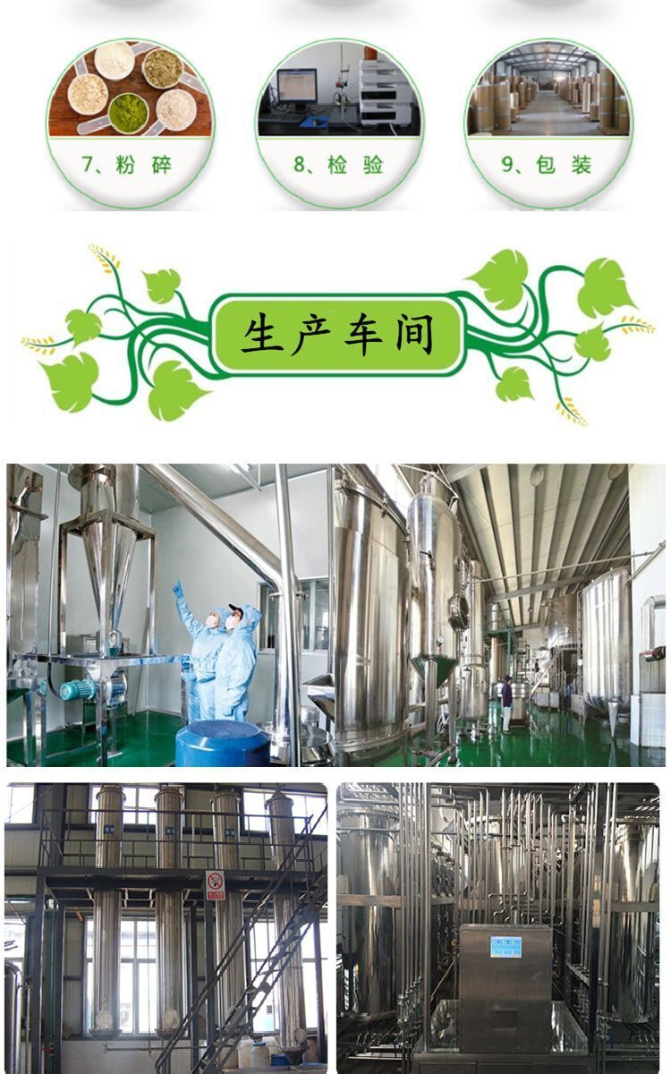Bai Zhu Extract 10:1 Concentrate | Atractylodes Rhizome Vegan Herbal Tea