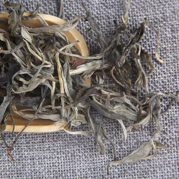 500G Yunnan Raw Puerh Loose Tea From Iceland 300 Years Old Tree Raw Puer Tea
