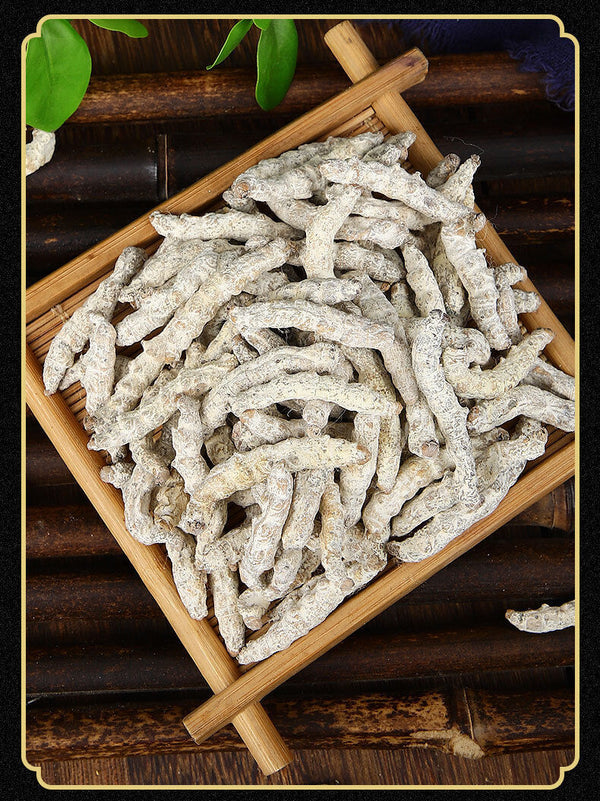 HelloYoung Stiffworms Chinese Herbal Medicine Stiffworms White Stiffworms 500g/1.1lb