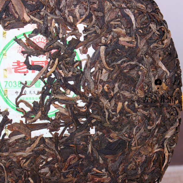 HelloYoung 7038 Early Spring Yinhao Pu-erh Pu'erChaTea Cake 400g Haiwan Old Comrades