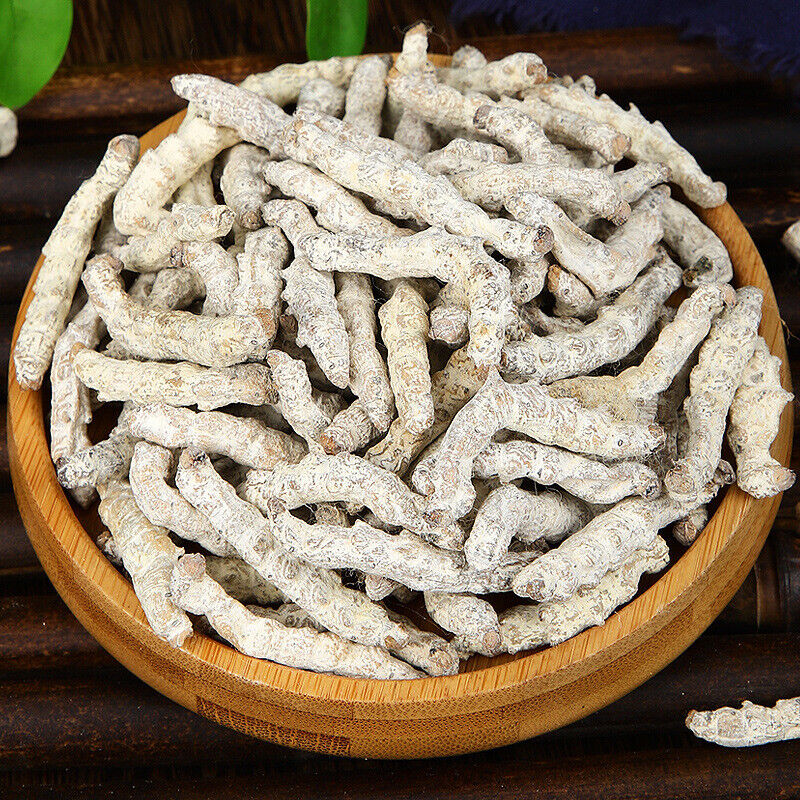 HelloYoung Stiffworms Chinese Herbal Medicine Stiffworms White Stiffworms 500g/1.1lb