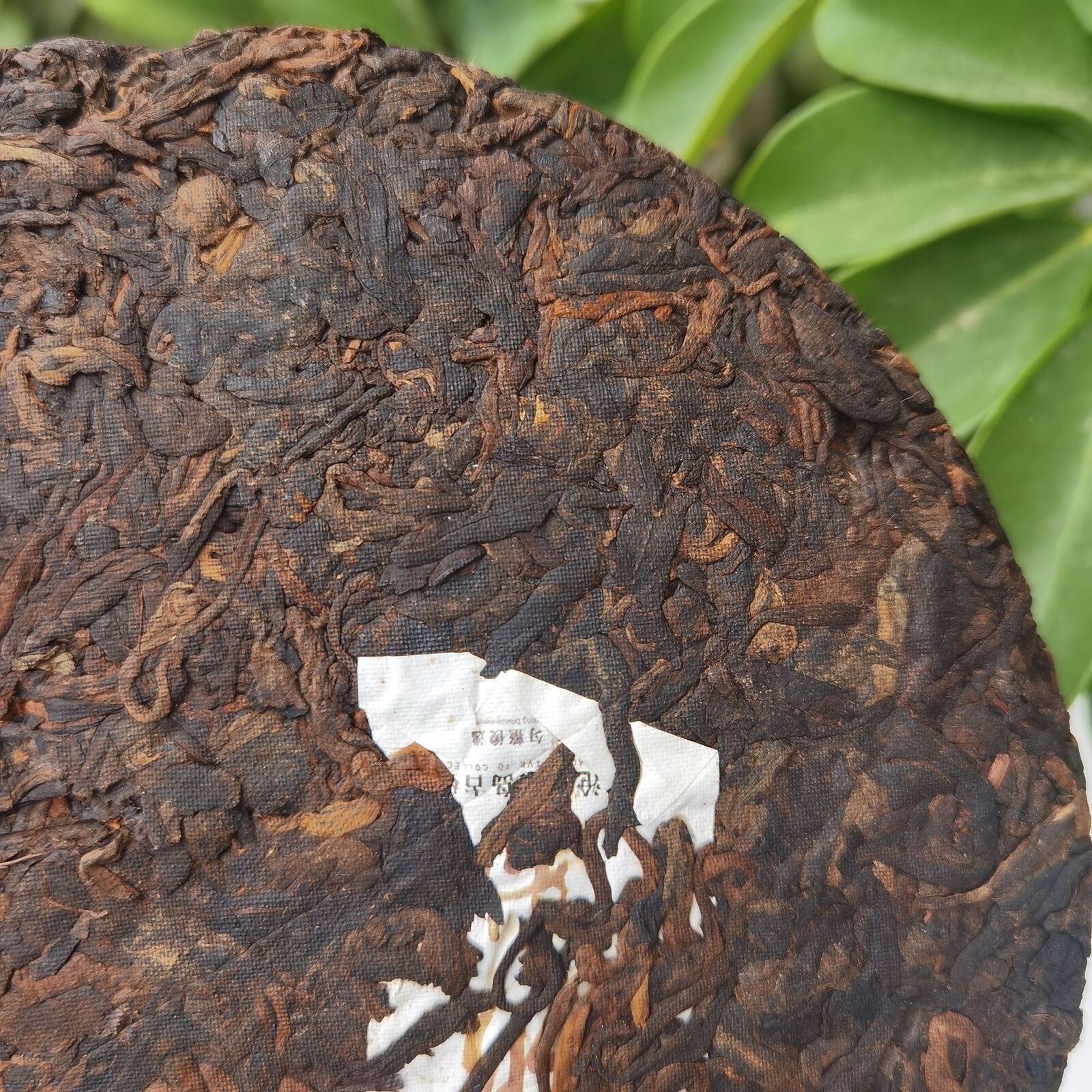 HelloYoung Yunnan Lincang Iceland Rhyme Big Tree Ripe Tea Handcrafted Aged Pu'er Tea 357g