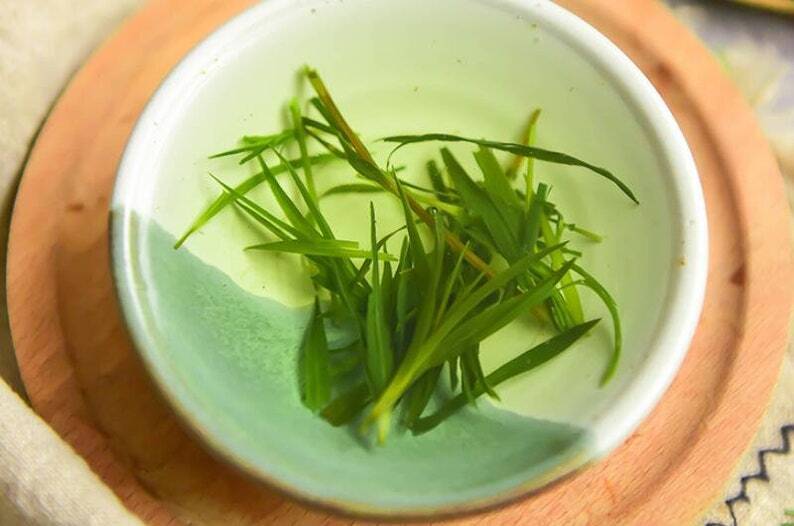 Dried Dianthus Tea Herball Tea Dianthus Chinensis Natural Makes A Healthy Tea