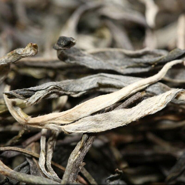 2020 High quality health Spring Raw Puerh Tea,Ancient Tree Sheng Puerh Tea 357g