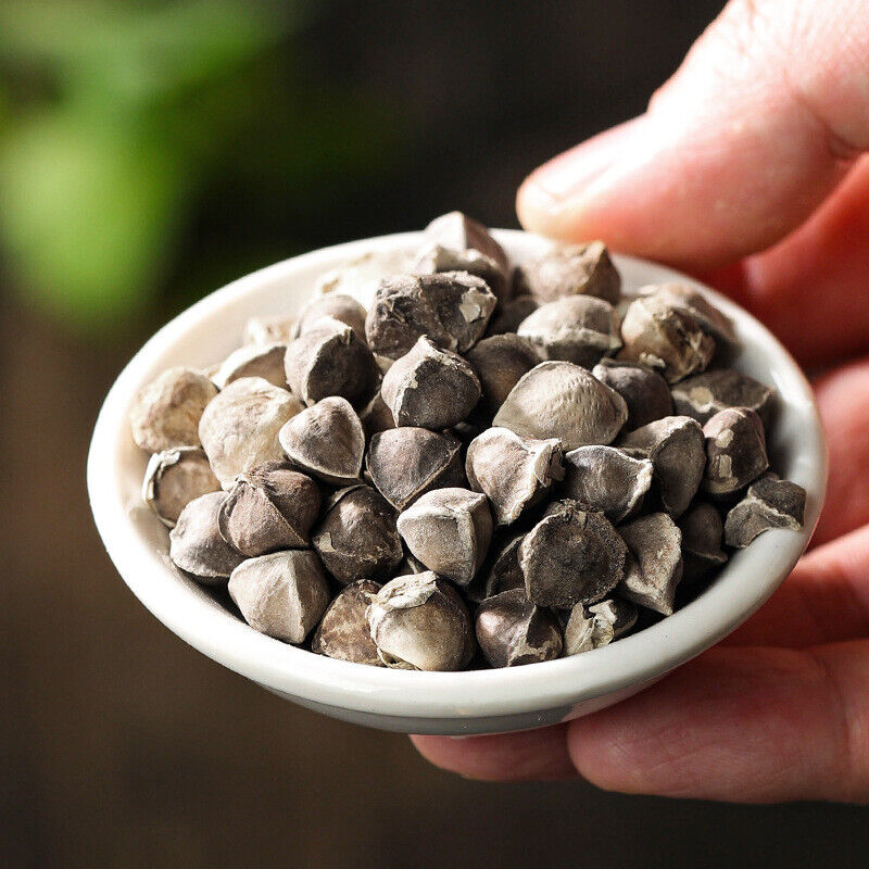 Moringa Seeds in Tins Selected, Large-grain, Edible Moringa Seeds 100g