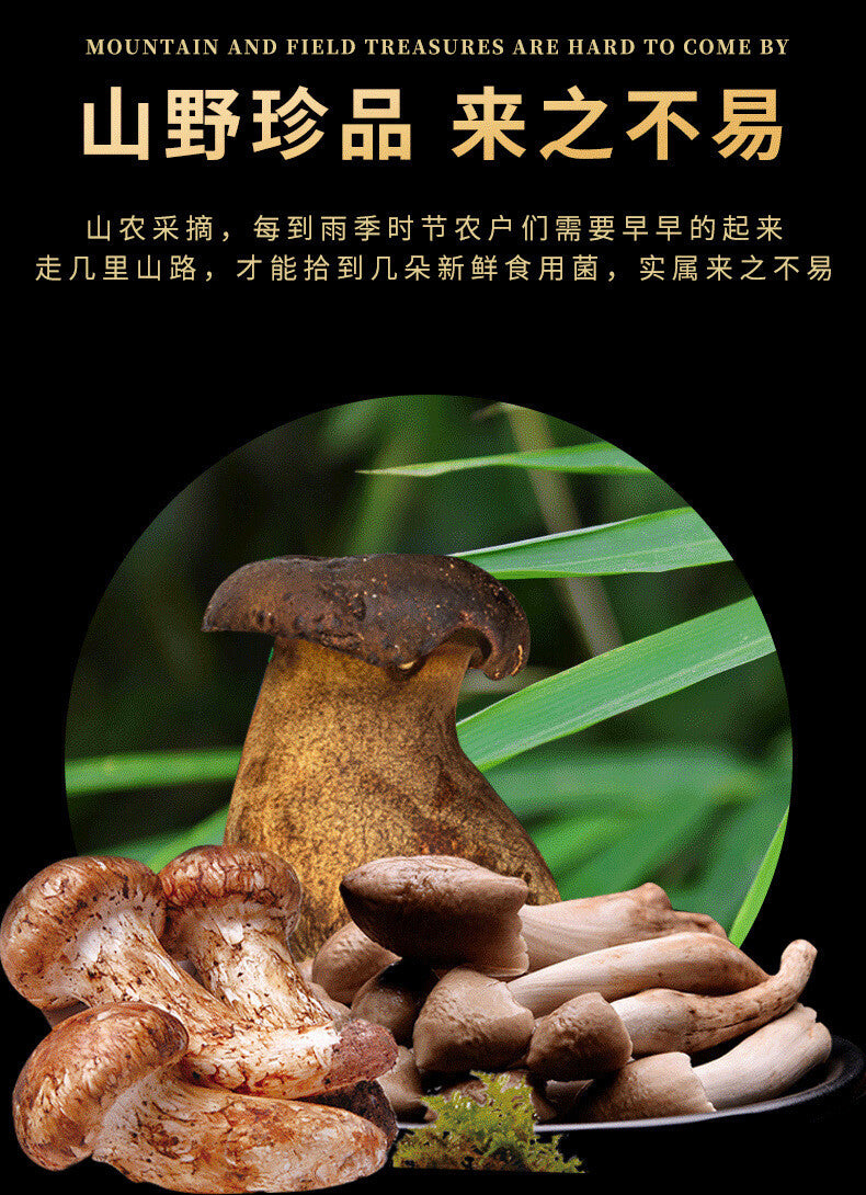 Yunnan Chicken Mushroom Sauce – Spicy Matsutake Blend