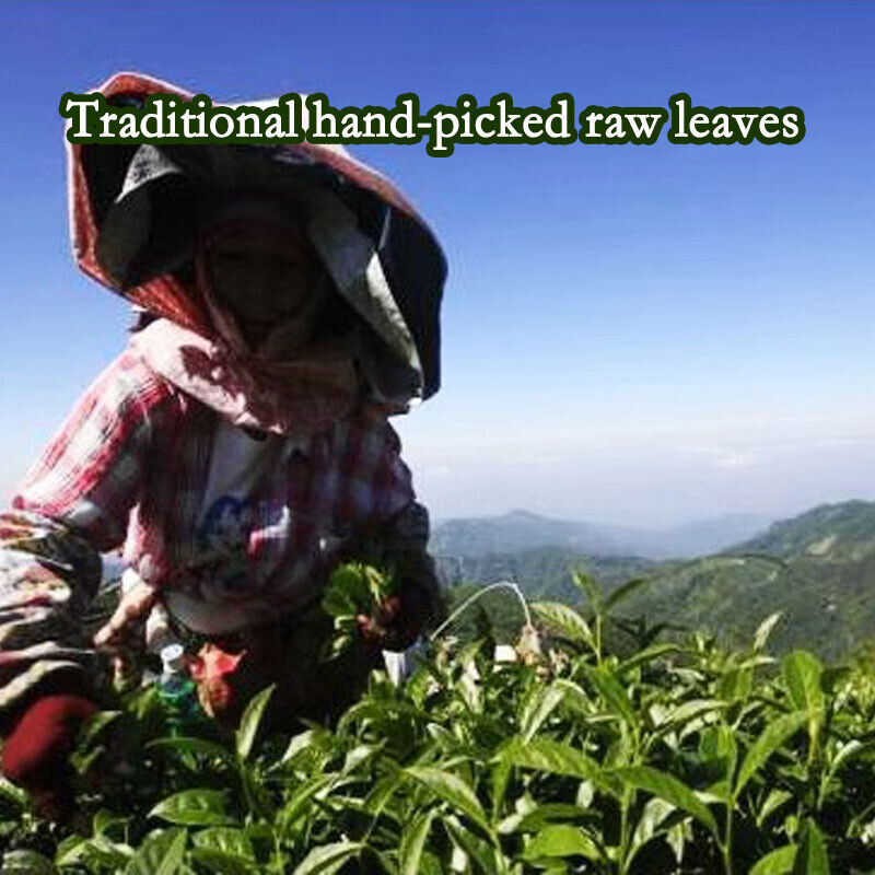 Jin Xuan Milk Oolong Tea Taiwan Alishan  Milkscented Wulong Tea Gaoshan Cha