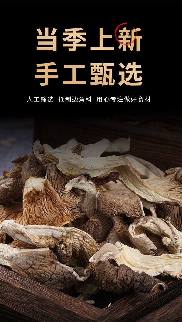 Fresh Oyster Mushroom Strips Phoenix Tail Mushroom Yunnan Farm Wholesale