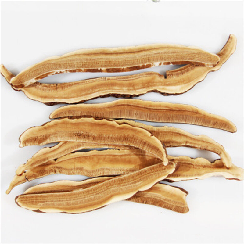 250g Dried Lingzhi Red Reishi Mushroom Ganoderma Lucidum Slices Herbs