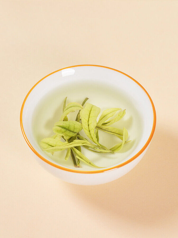 Premium Anji White Tea-Rare Green Tea Rain before One Leaf Spring Tea - 50g Tin