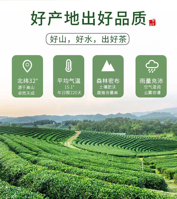 HelloYoung New Maojian Tea Green Tea Strong Flavor 100g Can